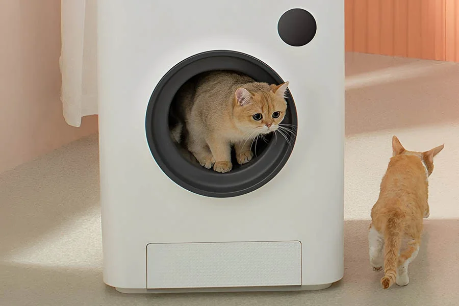 electronic litter box